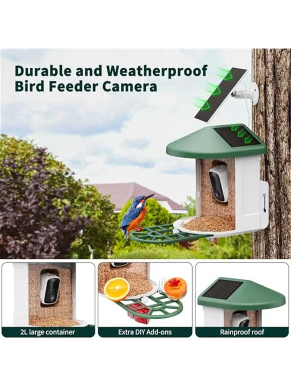 New Bird Feeder with Camera with AI Identify Birds Species Solar Powered